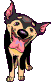 cane lecca.gif